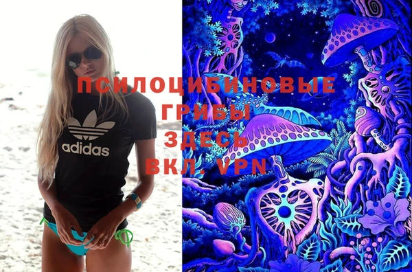 крисы Волоколамск