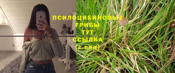 гидропоника Володарск