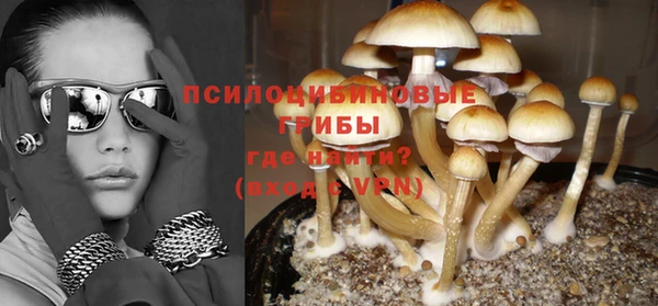 СК Вязники
